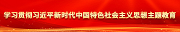 操逼操女操逼操女操逼操女学习贯彻习近平新时代中国特色社会主义思想主题教育