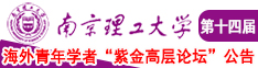 屄洞流水南京理工大学第十四届海外青年学者紫金论坛诚邀海内外英才！